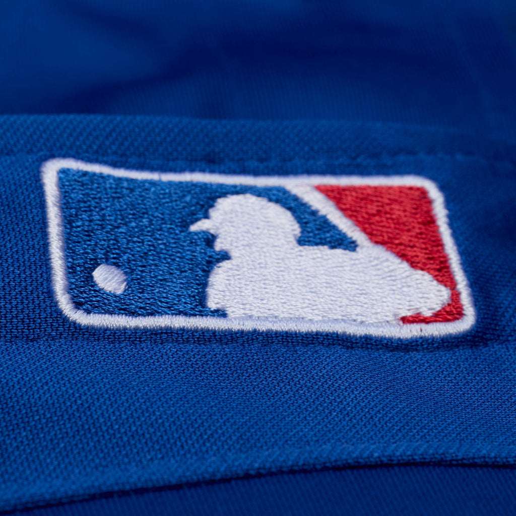 Men's Texas Rangers Adrian Beltre Mitchell & Ness Royal Cooperstown Mesh Batting Practice Button-Up Jersey