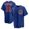 Chicago Cubs jersey