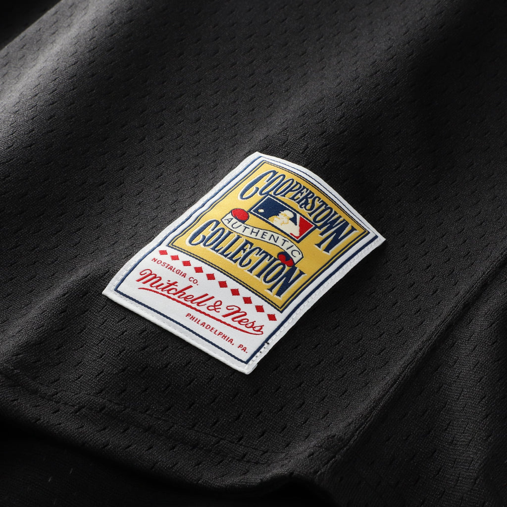 Men's Houston Astros Craig Biggio Mitchell & Ness Black Authentic Batting Practice Jersey
