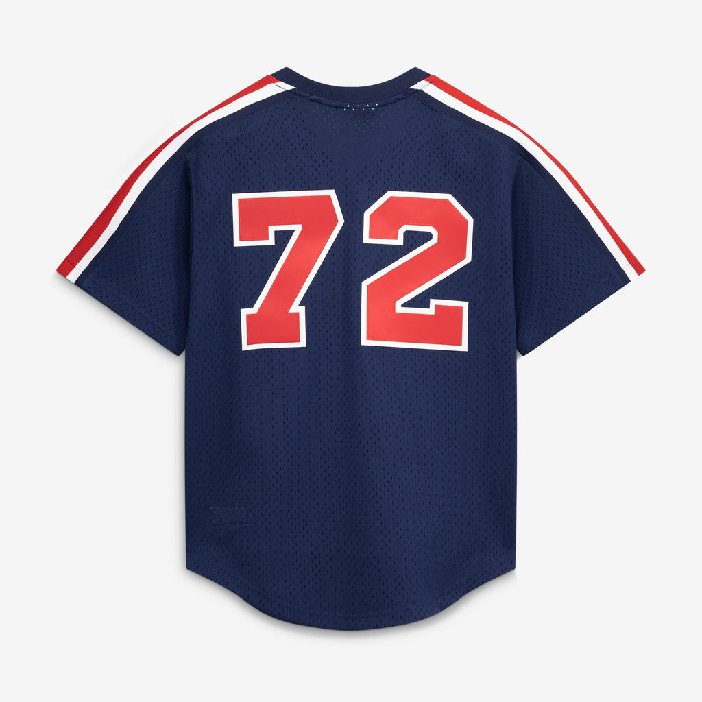 Men's Chicago White Sox Carlton Fisk Mitchell & Ness Navy Authentic Batting Practice Jersey