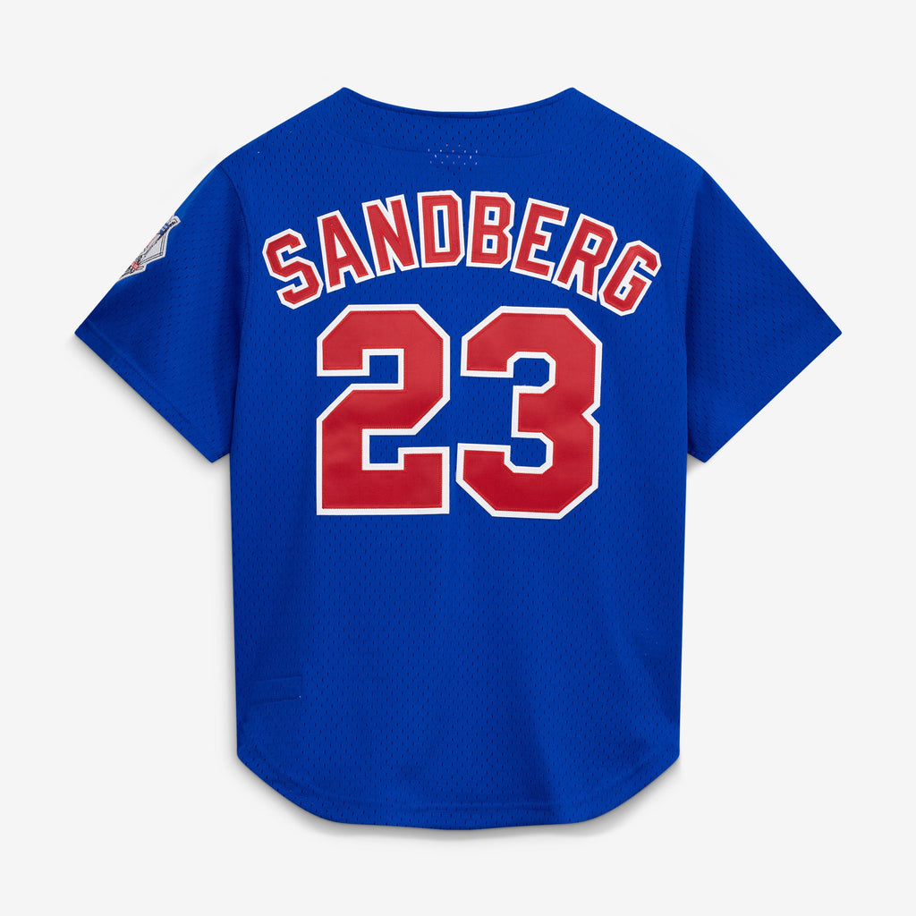Men's Chicago Cubs Ryne Sandberg Mitchell & Ness Royal Cooperstown Collection 1997 Mesh Batting Practice Button-Up Jersey