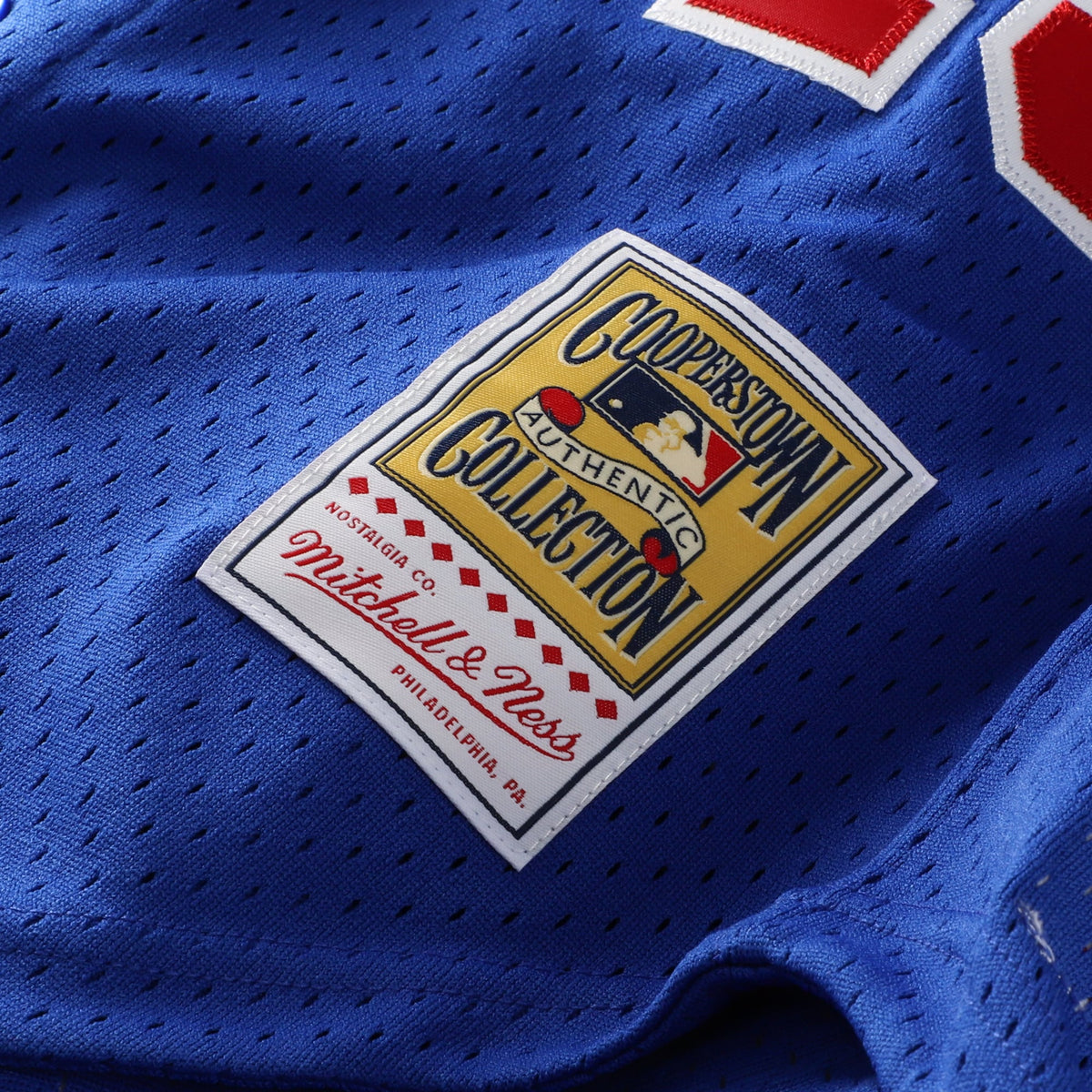Men's Montreal Expos Pedro Martinez Mitchell & Ness Blue Cooperstown Collection Mesh Batting Practice Button-Up Jersey