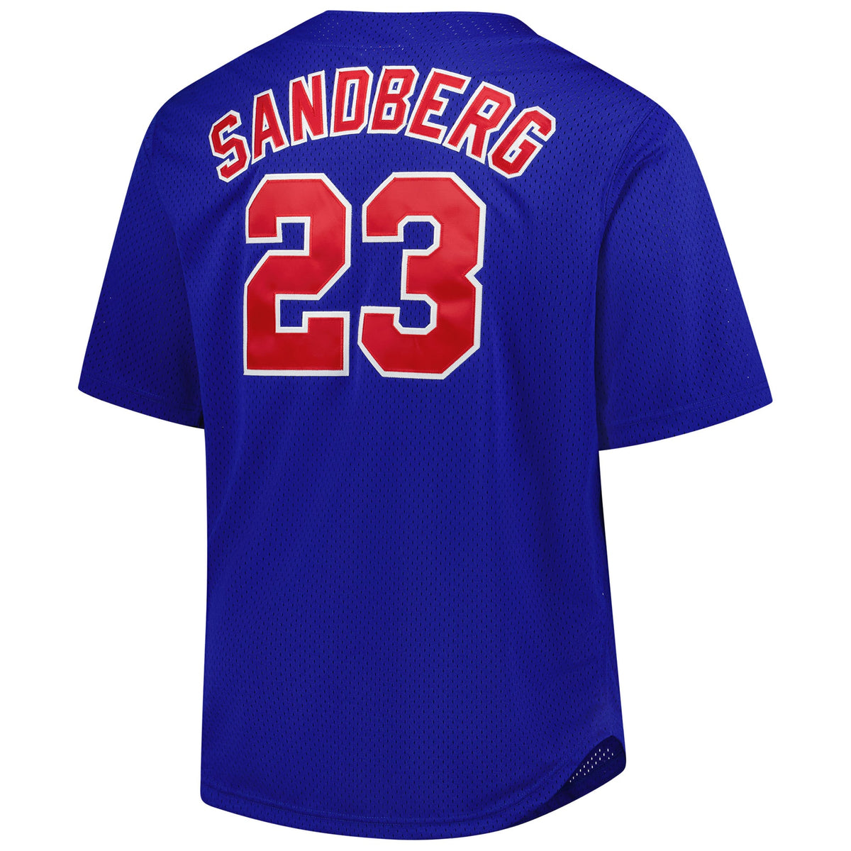 Men's Chicago Cubs Ryne Sandberg Mitchell & Ness Royal Big & Tall Cooperstown Mesh Batting Practice Jersey