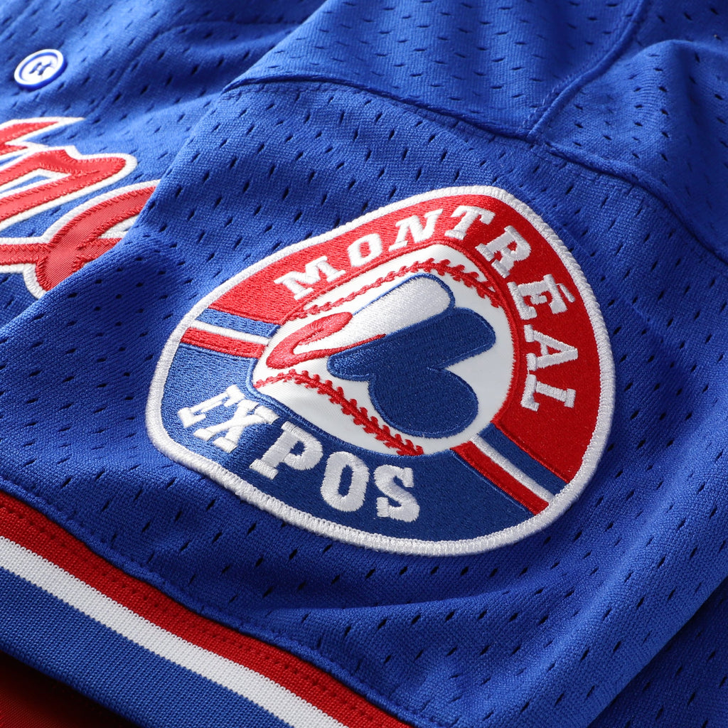 Men's Montreal Expos Pedro Martinez Mitchell & Ness Blue Cooperstown Collection Mesh Batting Practice Button-Up Jersey