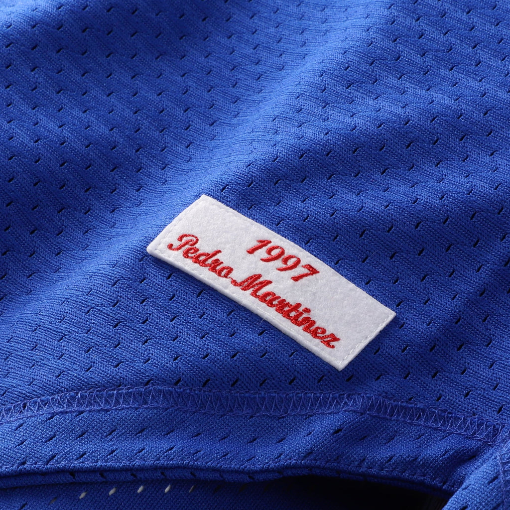 Men's Montreal Expos Pedro Martinez Mitchell & Ness Blue Cooperstown Collection Mesh Batting Practice Button-Up Jersey