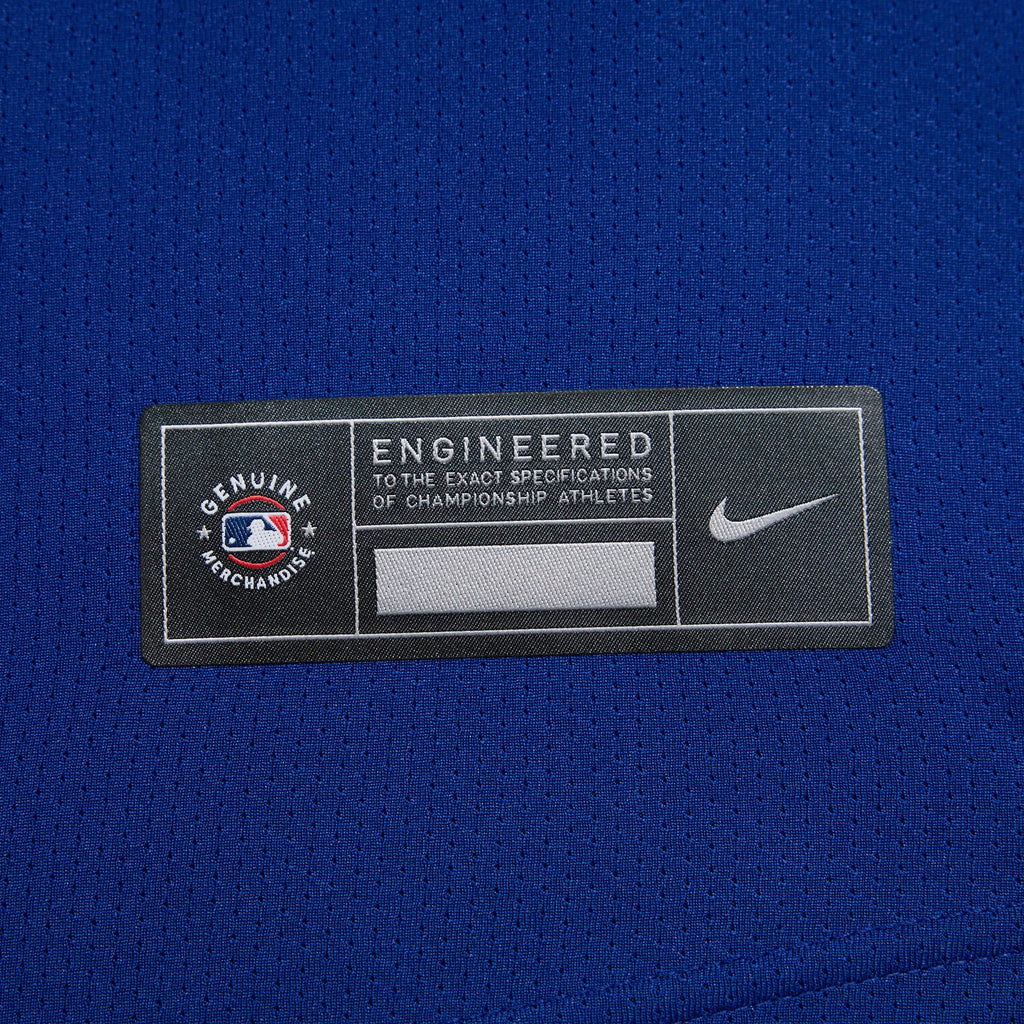 Men's Texas Rangers Corey Seager Nike Royal Alternate 2 Limited Jersey