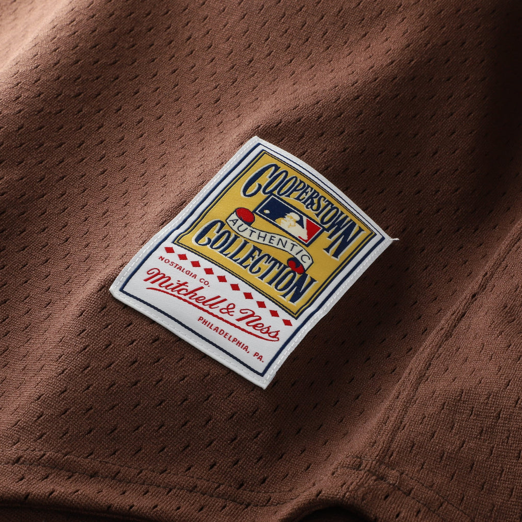 Men's San Diego Padres Tony Gwynn Mitchell & Ness Brown Authentic Batting Practice Jersey