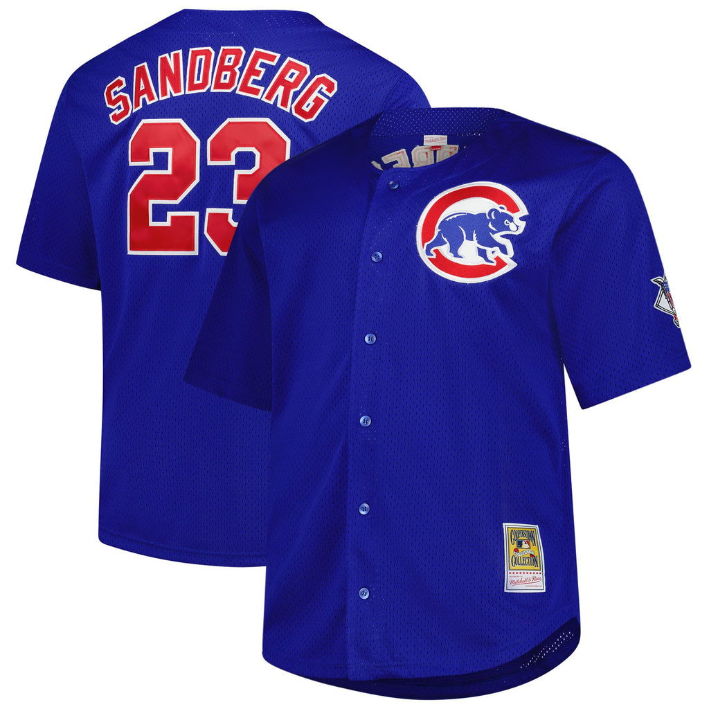 Chicago Cubs jersey