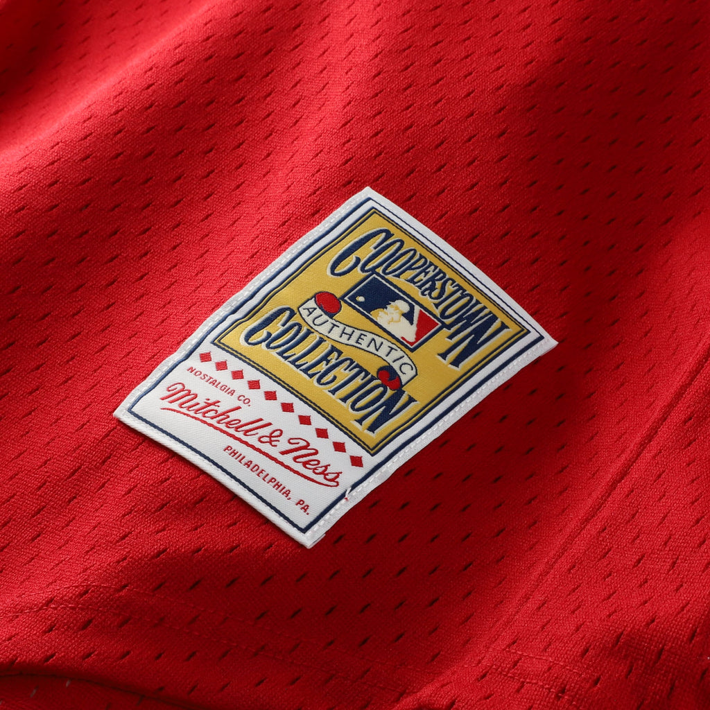 Men's St. Louis Cardinals Ozzie Smith Mitchell & Ness Scarlet Authentic Batting Practice Jersey